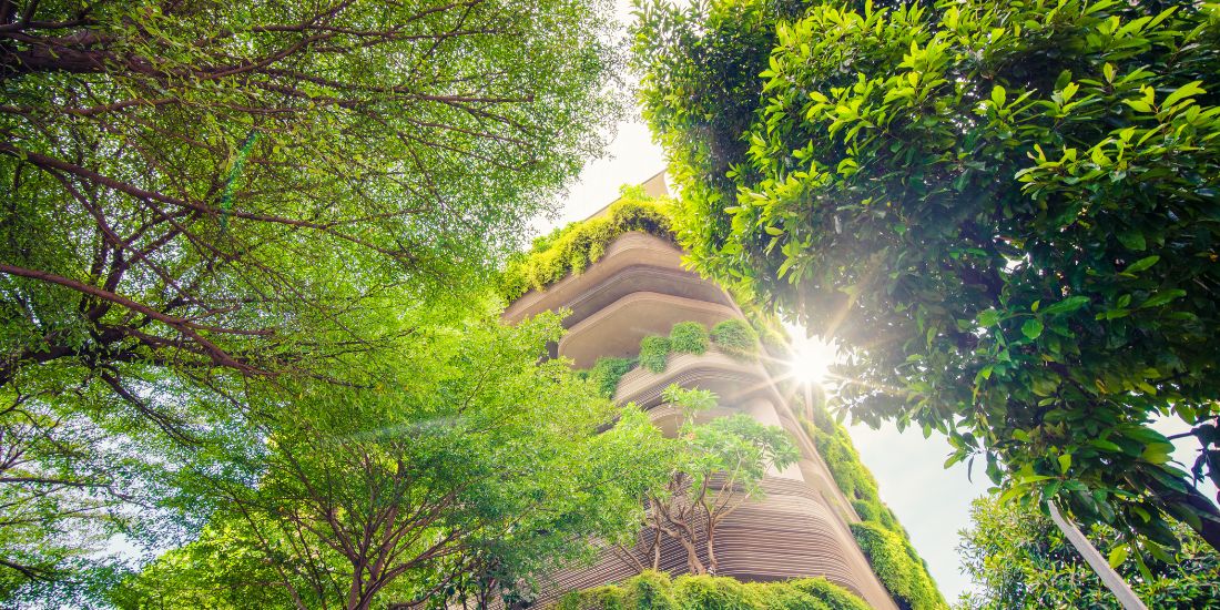 Nachhaltiges, begrüntes Gebäude Begrüntes Gebäude umgeben von Bäumen und Sonnenlicht
