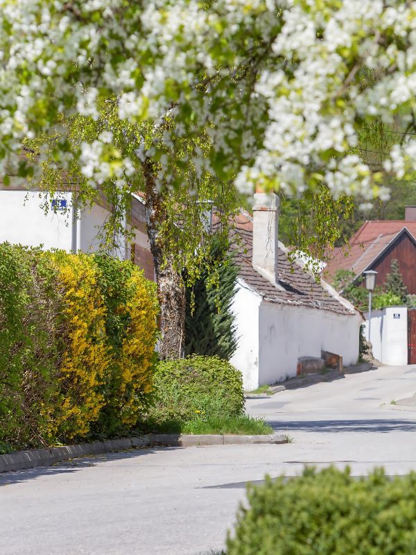gemeinde-donnerskirchen-portrait gemeinde donnerskirchen portrait