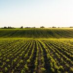 Bodenversiegelung: Warum unser Boden so schützenswert ist 6 bodenversiegelung